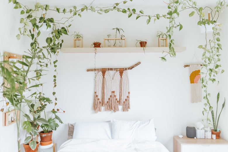 گیاهان مناسب اتاق خواب