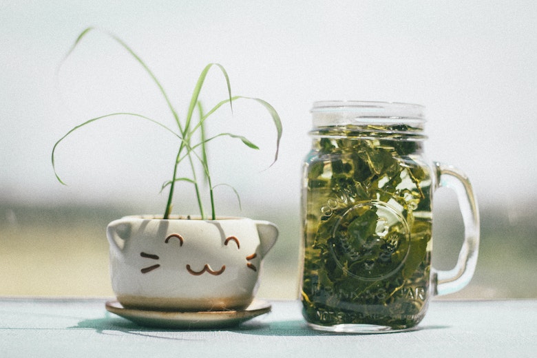 عصاره چای سبز برای لاغری 